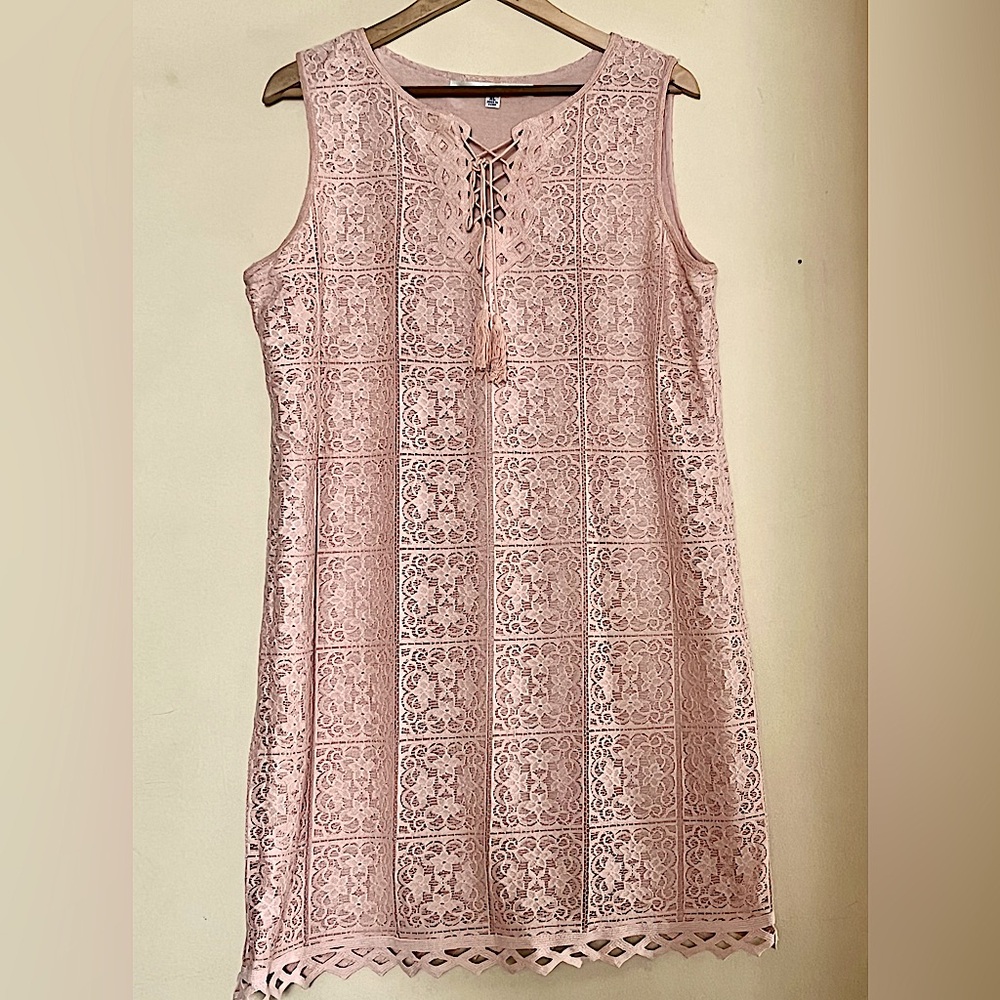 MAX STUDIO Blush Lace Sleeveless Dress - Picture 1 of 9